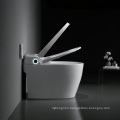 Sinking Water Tank Automatic Smart Toilet With Bidet